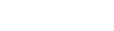 HLS Global Logo
